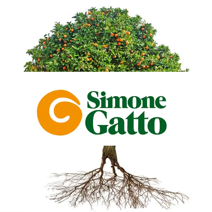 Kiosk Varco Simonegatto