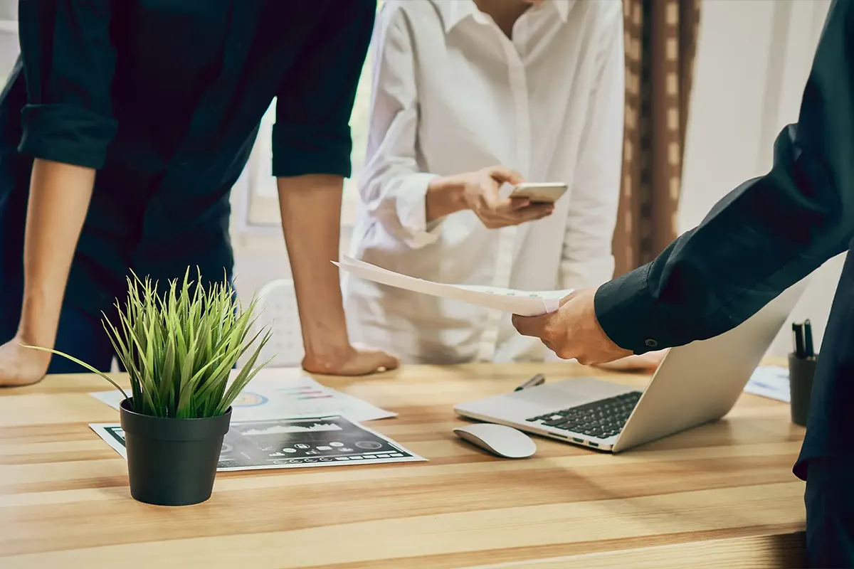 creazione e gestione contenuti su canali digitali