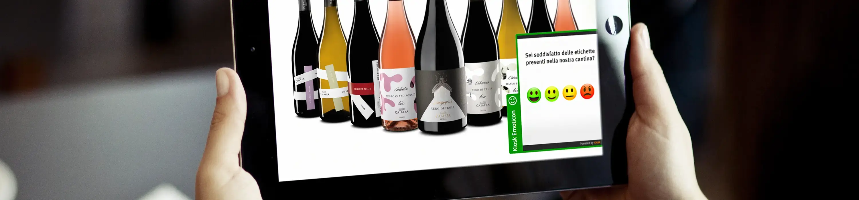 questionario di gradimento o instant survey via emoticon su siti web