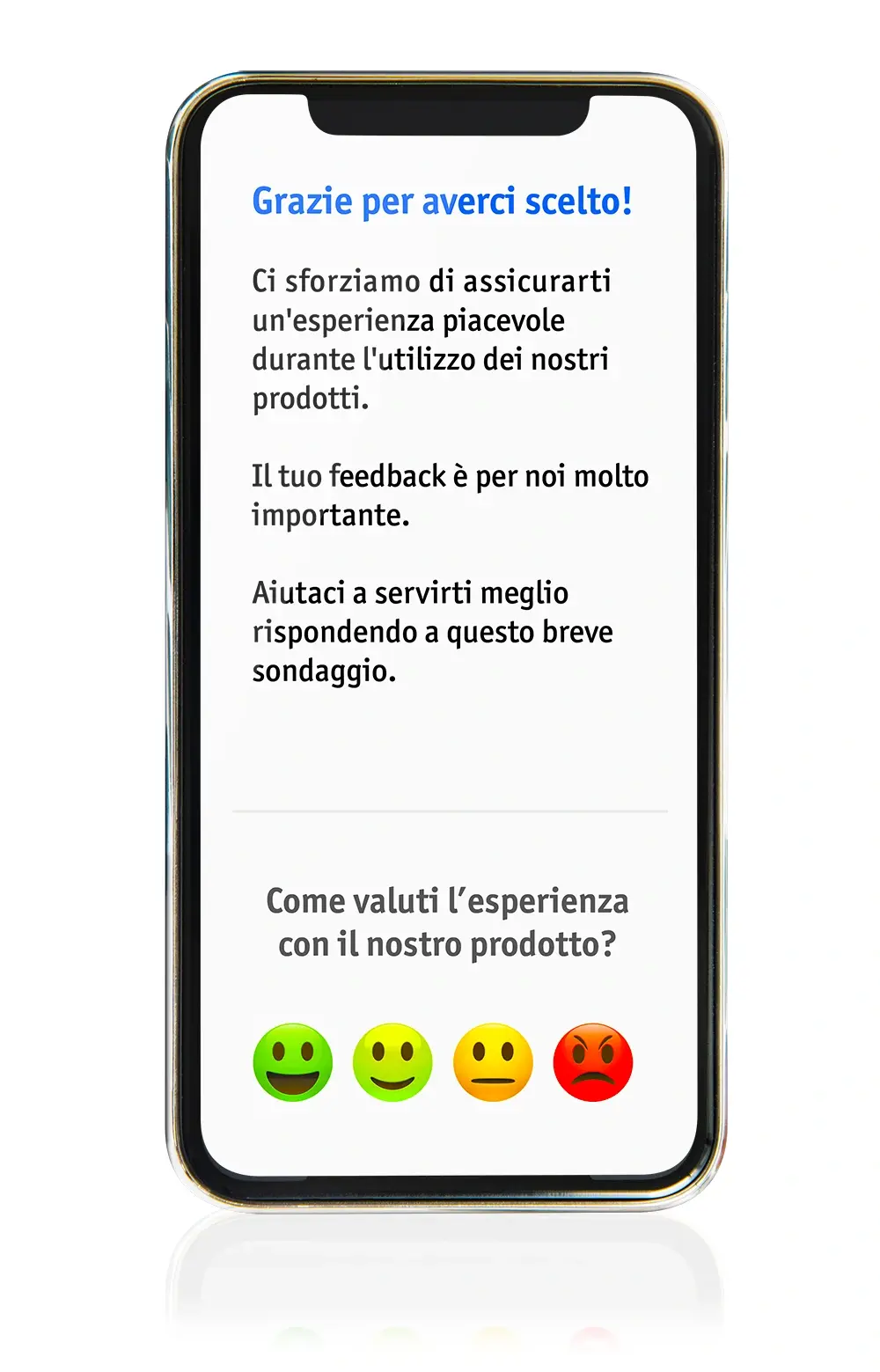 raccogliere la VOC o voice of the customer